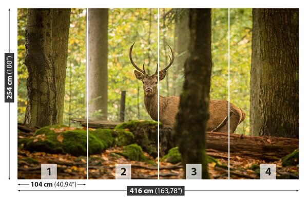 Fototapet Deer Forest