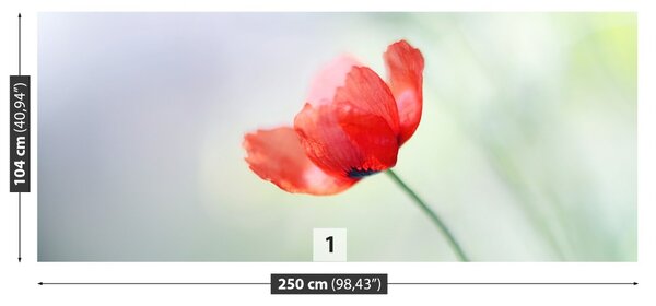 Fototapet mac roșu