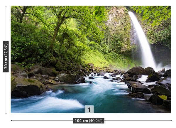 Fototapet Cascada Costa Rica