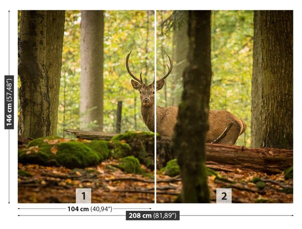 Fototapet Deer Forest