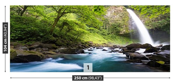 Fototapet Cascada Costa Rica