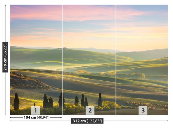 Fototapet chiparoși Toscana