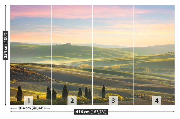 Fototapet chiparoși Toscana