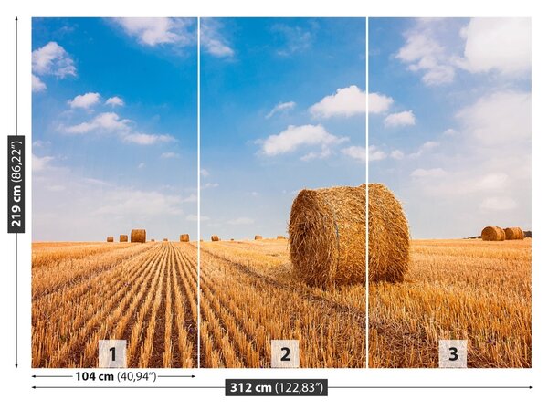 Fototapet paie Bales
