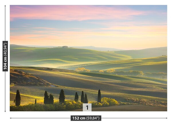 Fototapet chiparoși Toscana
