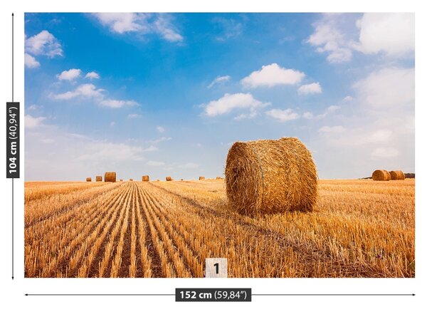 Fototapet paie Bales