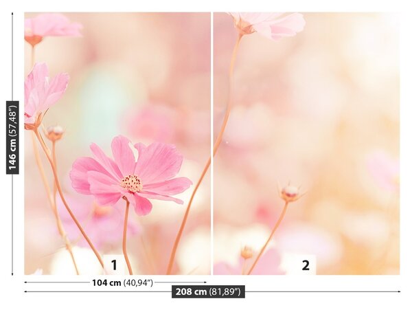 Fototapet Roz Cosmos Flori