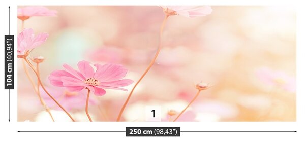 Fototapet Roz Cosmos Flori