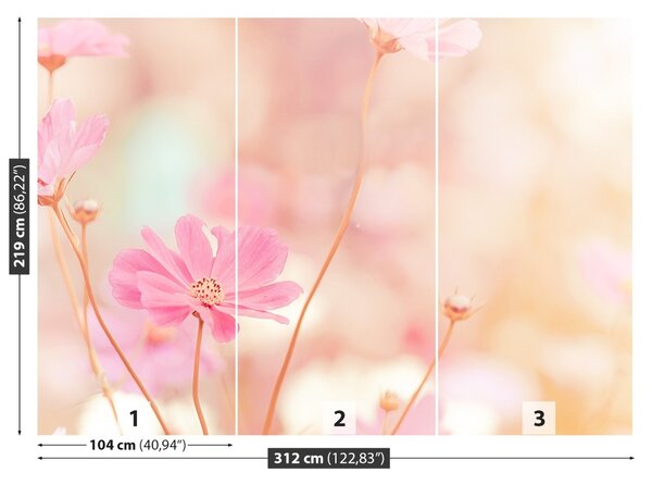 Fototapet Roz Cosmos Flori