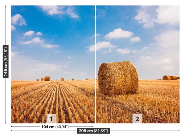 Fototapet paie Bales
