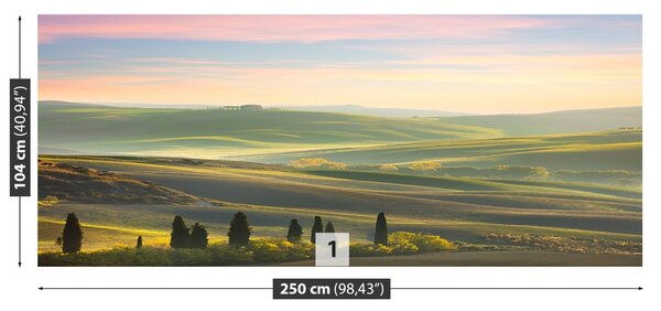 Fototapet chiparoși Toscana