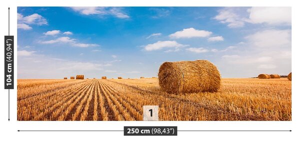 Fototapet paie Bales
