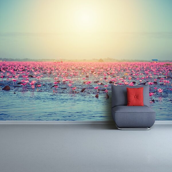 Fototapet Water Lilies Pond