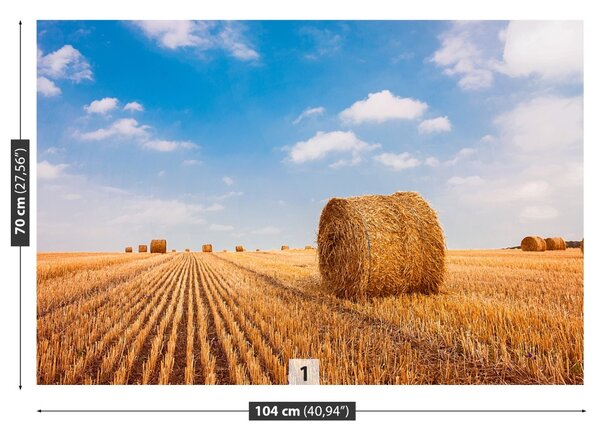 Fototapet paie Bales