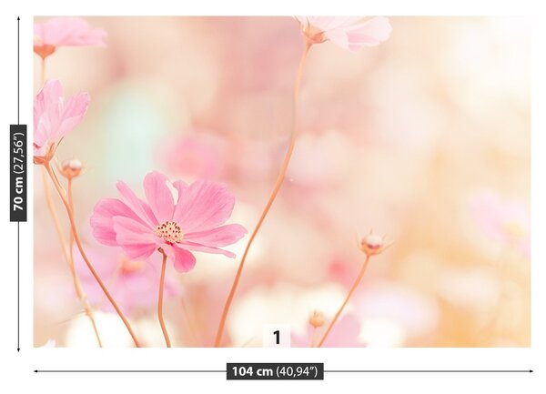 Fototapet Roz Cosmos Flori
