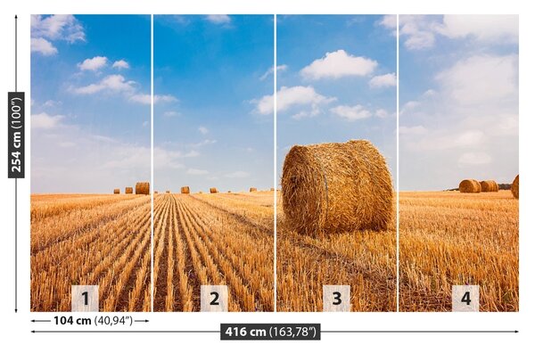 Fototapet paie Bales