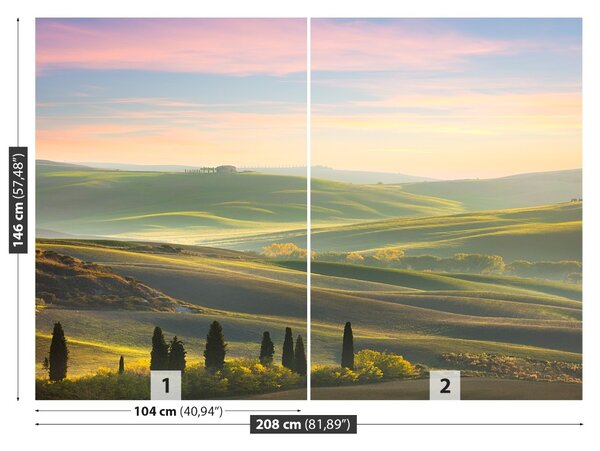 Fototapet chiparoși Toscana