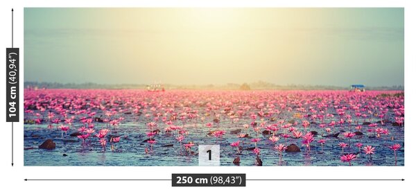 Fototapet Water Lilies Pond