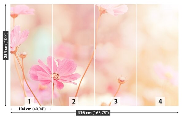 Fototapet Roz Cosmos Flori