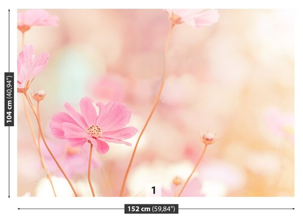 Fototapet Roz Cosmos Flori