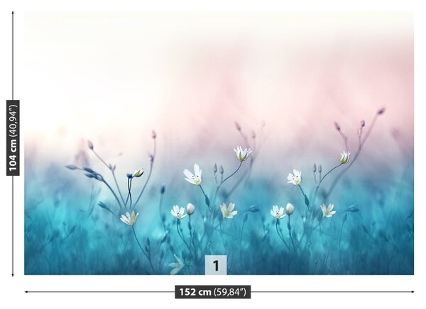 Fototapet Flori albe. alb