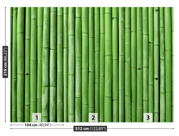 Fototapet Bamboo Green