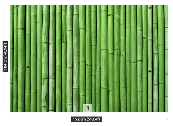 Fototapet Bamboo Green