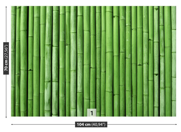 Fototapet Bamboo Green