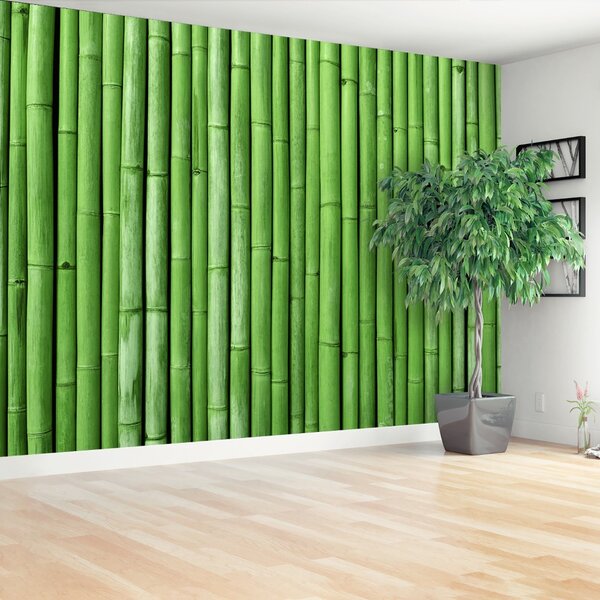 Fototapet Bamboo Green