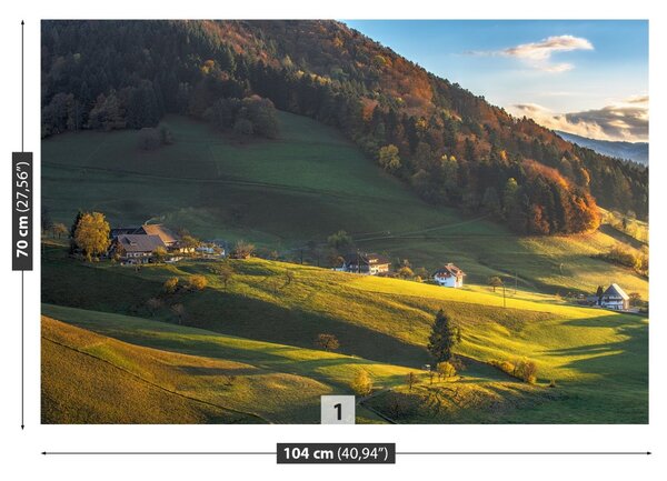 Fototapet vâlcea