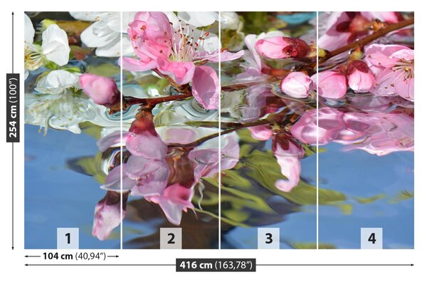 Fototapet Cherry Blossom Water