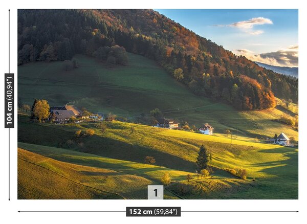 Fototapet vâlcea
