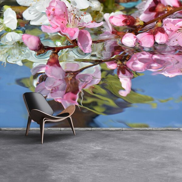 Fototapet Cherry Blossom Water