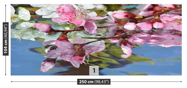 Fototapet Cherry Blossom Water