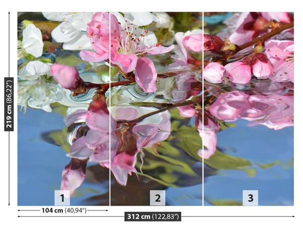 Fototapet Cherry Blossom Water
