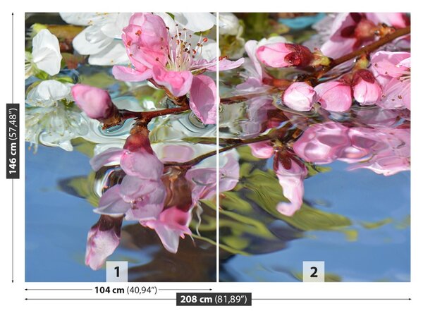 Fototapet Cherry Blossom Water