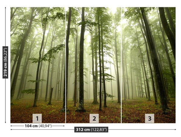 Fototapet Misty Forest
