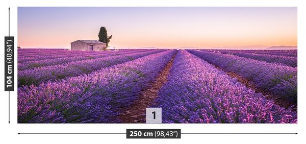 Fototapet Provence Lavandă