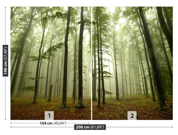 Fototapet Misty Forest