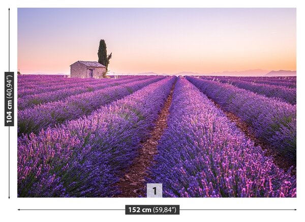 Fototapet Provence Lavandă