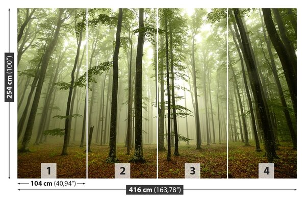 Fototapet Misty Forest