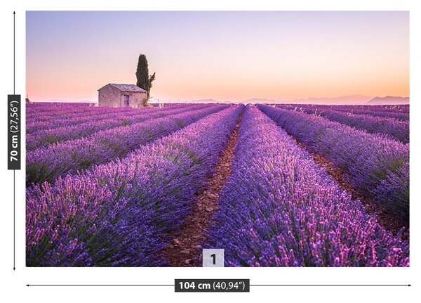 Fototapet Provence Lavandă