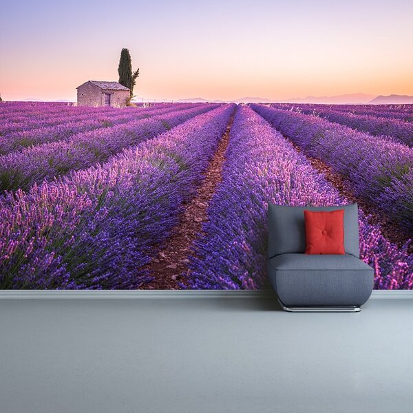 Fototapet Provence Lavandă