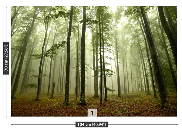 Fototapet Misty Forest