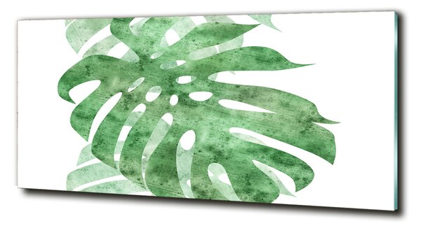 Fotografie imprimată pe sticlă Monstera