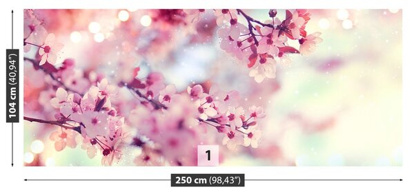 Fototapet Flori de cireș