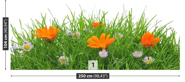Fototapet Paste Flori