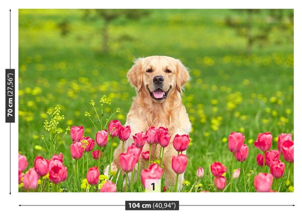 Fototapet Dog Lalele