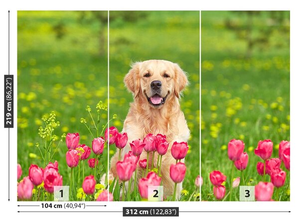 Fototapet Dog Lalele