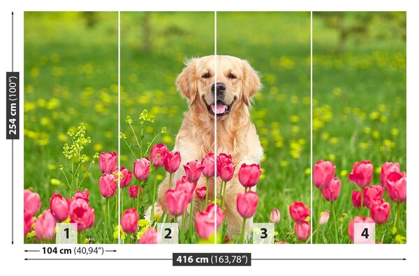 Fototapet Dog Lalele
